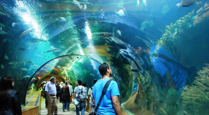 Valencia-Aquarium